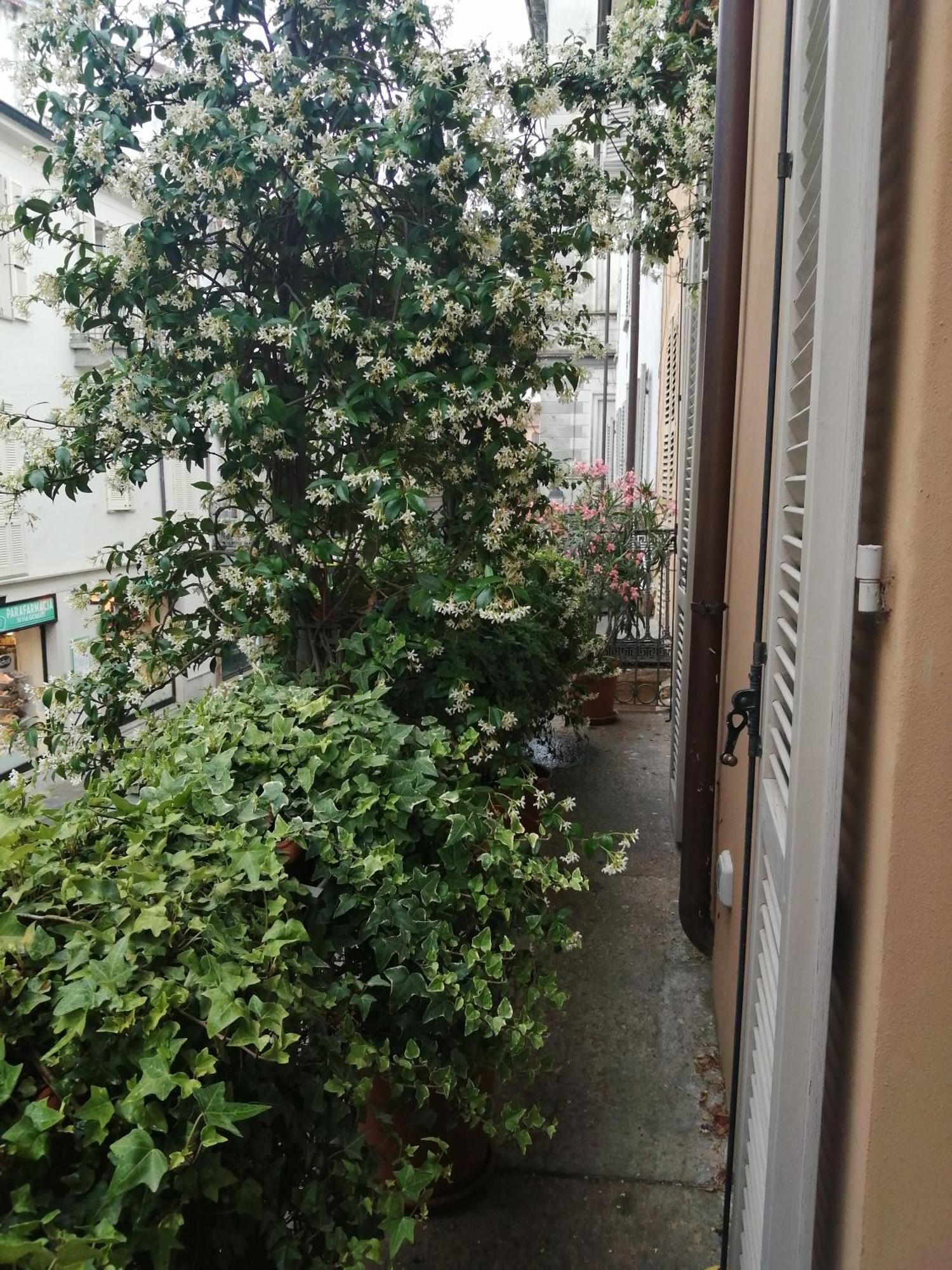 Ferienwohnung Le Melusine Vercelli Exterior foto